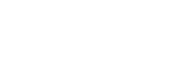 Wetu